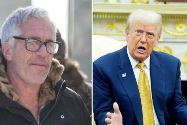 Jeffrey Epstein ‘Stopped Hanging Out With Trump Because He Was a Crook’
