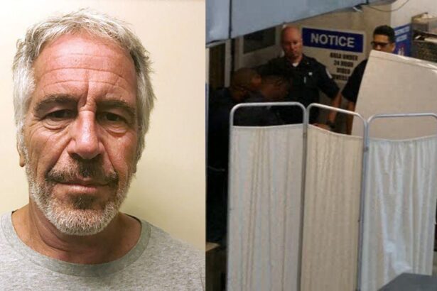Jeffrey Epstein’s Brother Claims Sex Predator Was Murdered In Cover-Up