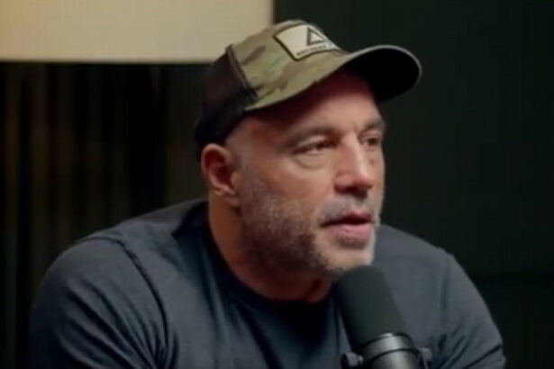 Joe Rogan Reveals the Reasons He Decided to Interview Trump on His Podcast Before the Election (VIDEO) |