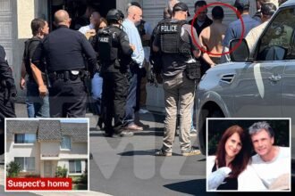 Junkie Raymond Boodarian accused of murdering ‘American Idol’ exec Robin Kaye once tried to stab his own mother