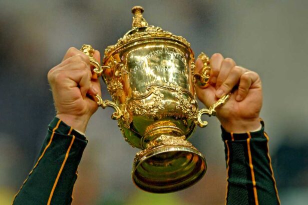 La Coupe du monde de rugby 2023 gratuitement en streaming et à la TV