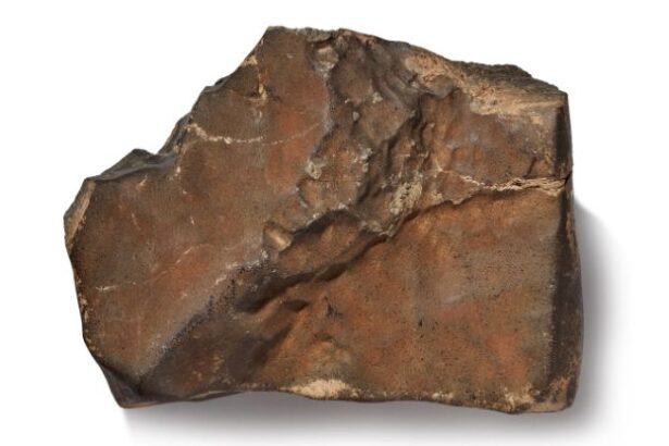 Largest Mars Rock Exceeds Auction Expectations : ScienceAlert