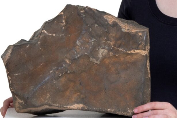 Largest Mars Rock on Earth Could Sell For US Million : ScienceAlert
