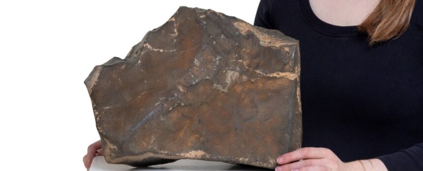 Largest Mars Rock on Earth Could Sell For US Million : ScienceAlert
