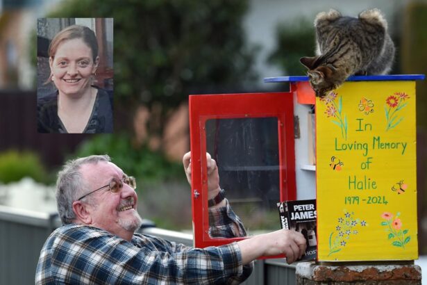 Lilliput built as tribute to daughter