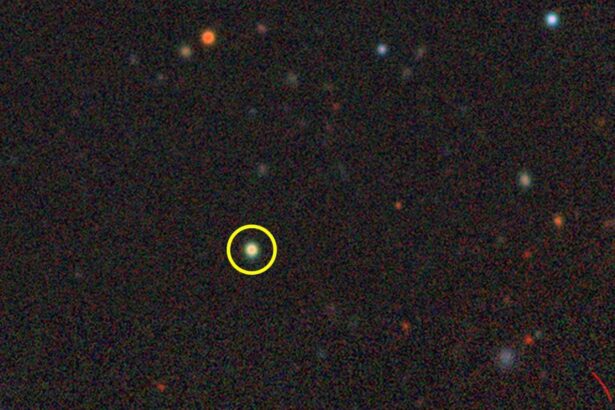 Little red dot galaxies have now been found in our local universe