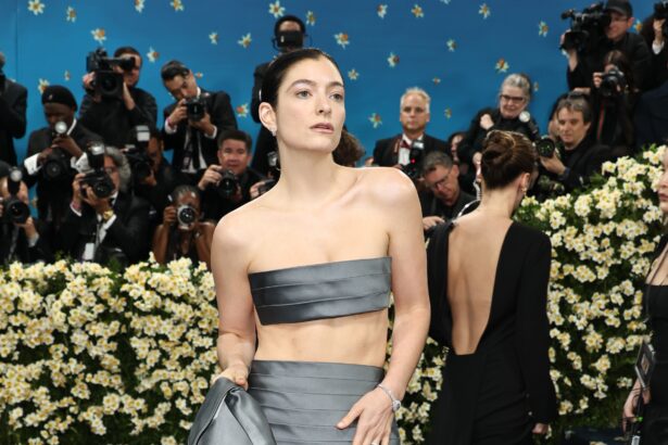 Lorde Shocks Fans With Nude Vulva Photo by Talia Chetrit