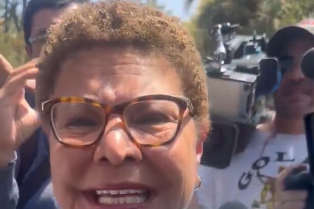 Los Angeles Mayor Karen Bass Confronts Federal Agents, Tries to Stop Lawful Immigration Raid (VIDEO) |