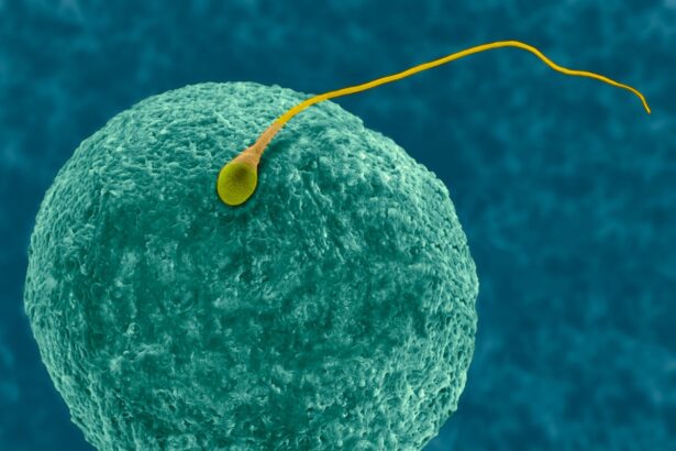 Male Birth Control Pill YCT-529 Passes Human Safety Test