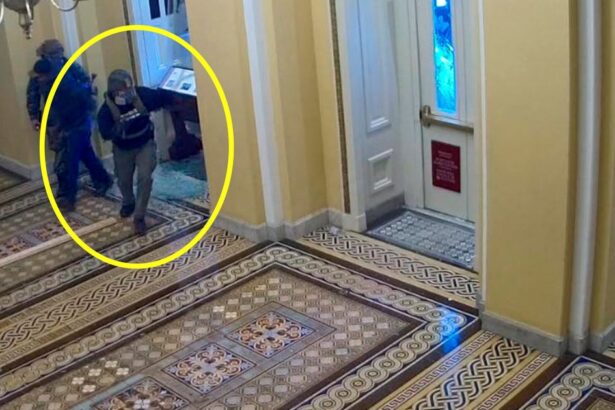 Man Pardoned For Jan. 6 Crimes Gets Life In Prison Over FBI ‘Kill List’