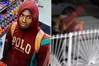 Man caught on video setting pit bull on fire on NYC street is arrested: cops