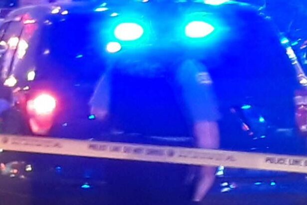 Man found stabbed to death near Metra tracks in Avondale