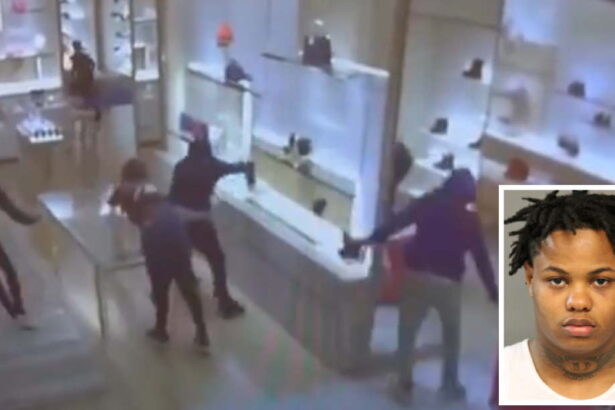 Man gets 5 years for 0K Louis Vuitton heist