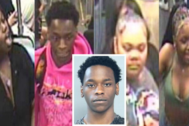 Man with 5 arrests in 11 months held in violent Red Line robbery
