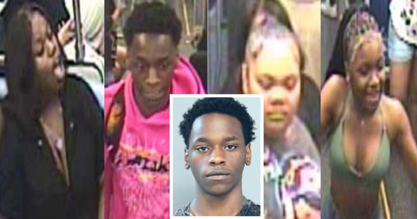 Man with 5 arrests in 11 months held in violent Red Line robbery