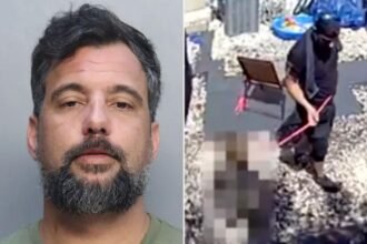 Marine vet violently kicks, yanks 6-year-old stepson on dog leash, disturbing video shows