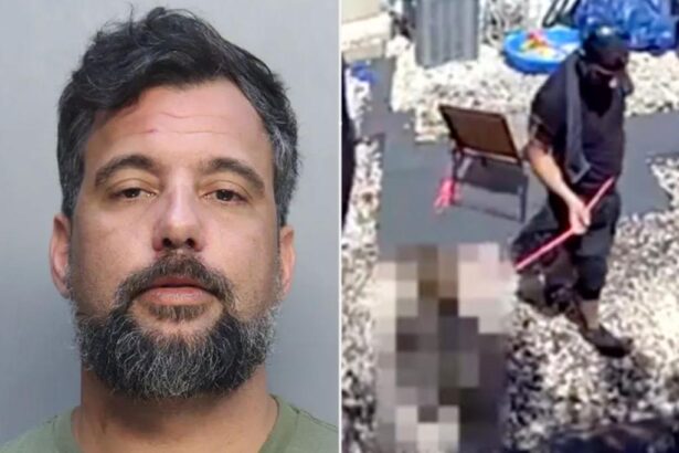 Marine vet violently kicks, yanks 6-year-old stepson on dog leash, disturbing video shows