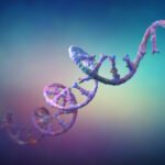 Medicare cuts, obesity guidelines, protein