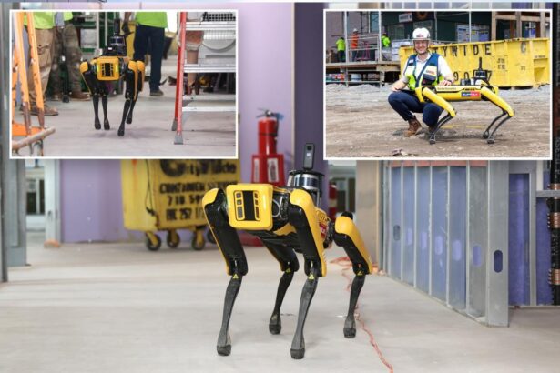 Meet the 0K robodog Spot that patrols a Long Island construction site
