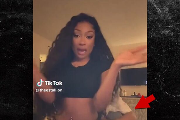 Megan Thee Stallion Unwraps Labubu Gifts From Klay Thompson Sitting on His Lap