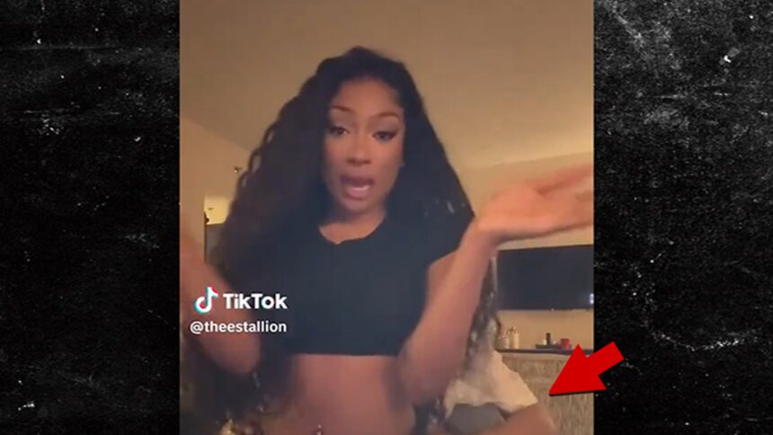 Megan Thee Stallion Unwraps Labubu Gifts From Klay Thompson Sitting on His Lap