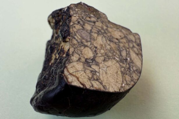 Meteorite causes rethink of how and when our solar system formed