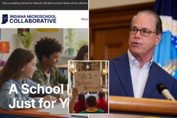 Microschools expand as parents seek alternatives to public education