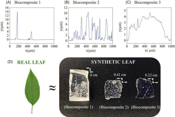 Microscopic plant stones can cause permanent damage to tooth enamel