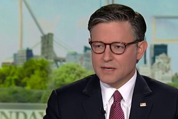 Mike Johnson Is Virtually Begging People Not To Believe Democrats About Medicaid