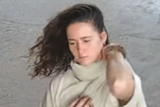 Missing German backpacker’s van found