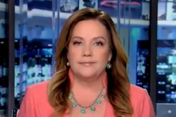 Mollie Hemingway: Media Not Reporting New Russiagate Developments Because ‘They Were Complicit’ in Original Crime (VIDEO) |