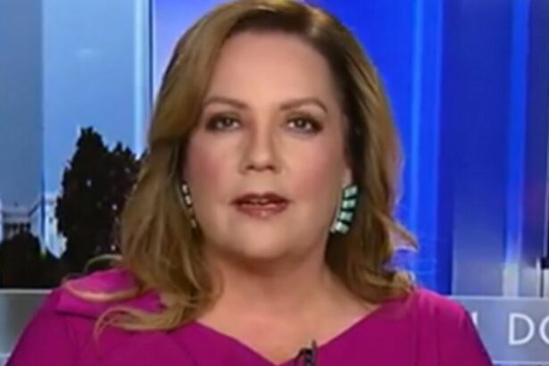 Mollie Hemingway on Zohran Mamdani: ‘A Disaster in Waiting if People Go Down This Path’ (VIDEO) |