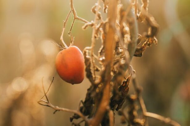 Moths Don’t Like to Lay Their Eggs on Plants That Are Screaming : ScienceAlert