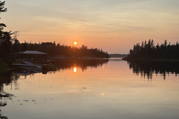 My Weekly Reading for July 13, 2025