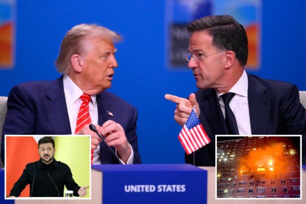 NATO boss warns against Trump halting weapon shipments to Ukraine: ‘Cannot do without US’