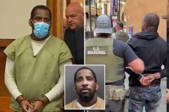 NY killer stabbed ex-wife 22 times because she ‘deserved it’ after he allegedly killed current wife