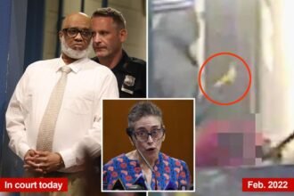 NYC maniac who attacked 60-year-old woman with hammer sentenced 25 years to life