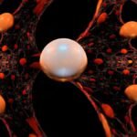 Nanomaterials in Consumer Products: Miracle or Menace?