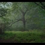 Need an Escape? Tune Into Noah Kalina’s Ambient Landscapes Where Almost Nothing Happens — Colossal