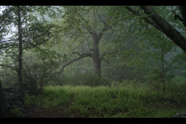 Need an Escape? Tune Into Noah Kalina’s Ambient Landscapes Where Almost Nothing Happens — Colossal