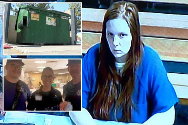 Nevada mom Taylor Dickinson accused of tossing newborn in dumpster said abandoning child in trash was her ‘best option’