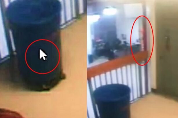 New Epstein Prison Video Investigation Uncovers Irregularities: Cursor Activity and Orange Object Detected |