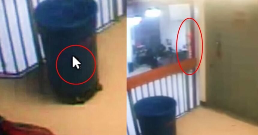 New Epstein Prison Video Investigation Uncovers Irregularities: Cursor Activity and Orange Object Detected |