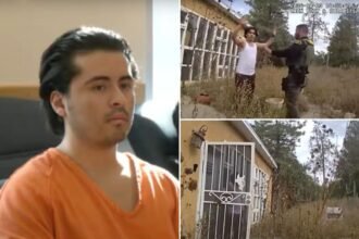 New Mexico brute Adlai Mestre allegedly shot parents, teen sister and family dog to death — and dragged their corpses to ravine to ‘bury them’