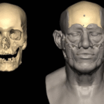 Oldest Egyptian DNA Reveals Secrets of Elite Potter From Pyramid Era : ScienceAlert