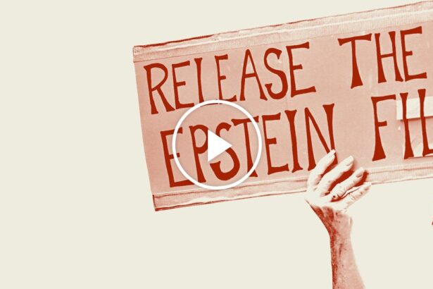 Opinion | The ‘Little Epstein Theory’ vs. ‘Big Epstein Theory’