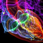 Organ Proteins Reveal How Aging Accelerates at 50 Years Old