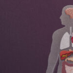 Organ age, not just your birthday, may determine your health risks