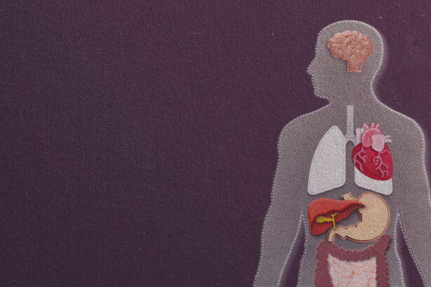 Organ age, not just your birthday, may determine your health risks