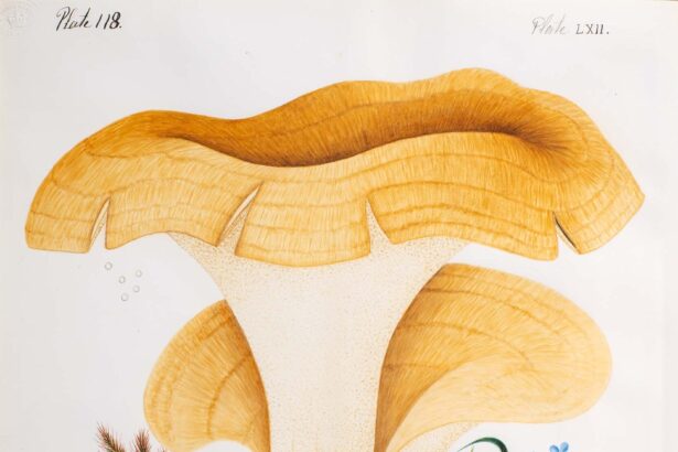 ‘Outcasts’ Highlights the Scientific Contributions of Trailblazing Artist and Naturalist Mary Banning — Colossal